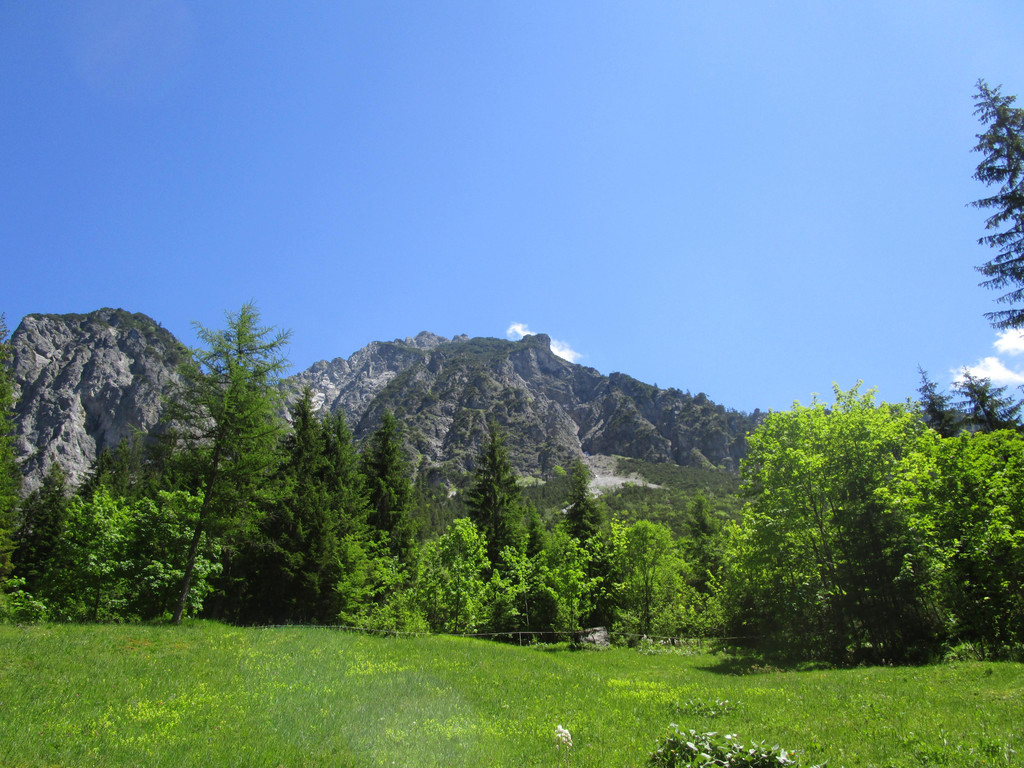 IMG_2275.JPG