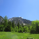 IMG_2275.JPG