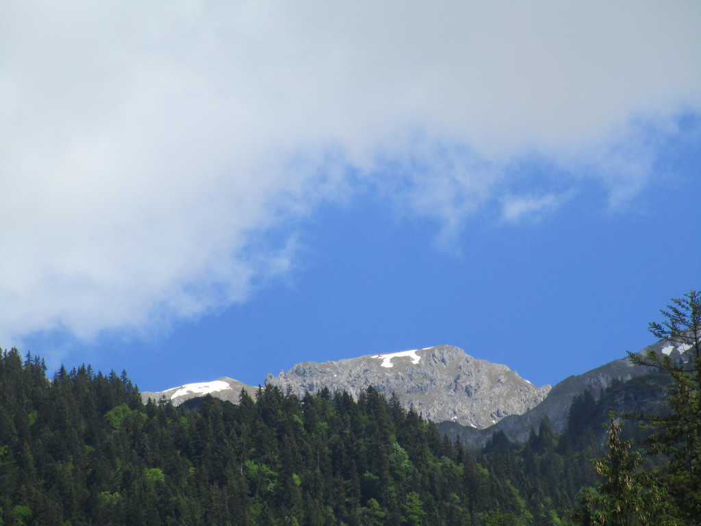 IMG_2247.JPG