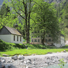 IMG_2249.JPG
