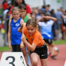file75teq018dophcgw3375.jpg