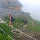 IMG_8418_LG_02.JPG