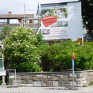 DSCI1744.JPG