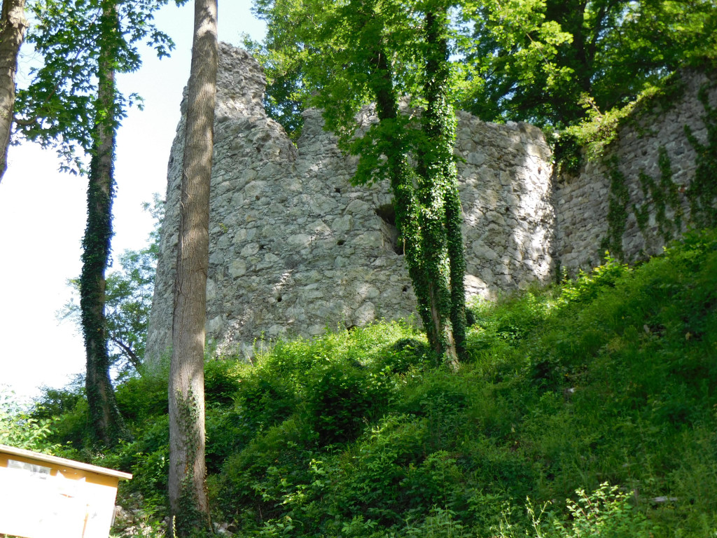 DSCI1755.JPG