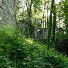 DSCI1760.JPG