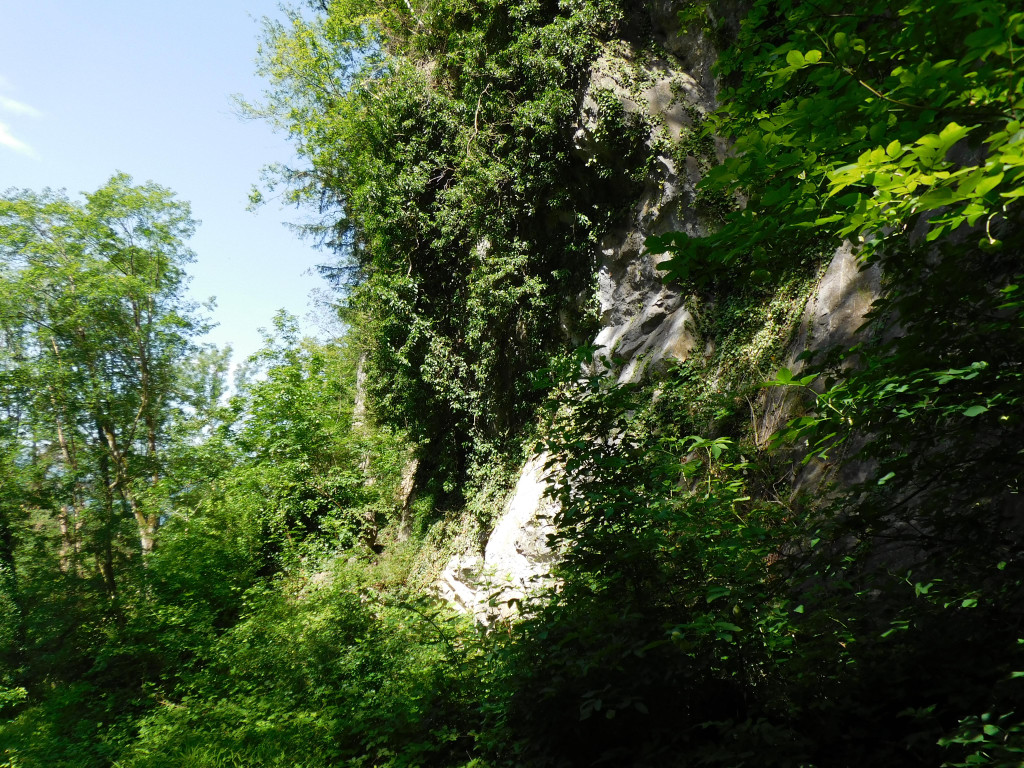 DSCI1765.JPG