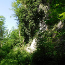 DSCI1765.JPG