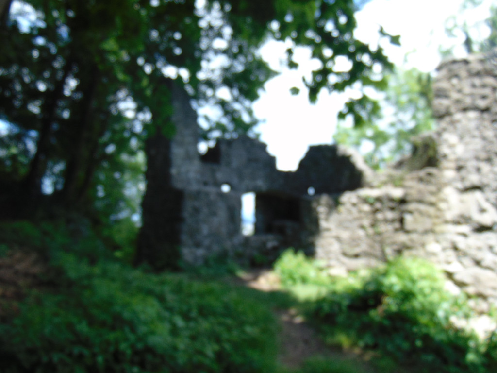 DSC02503.JPG