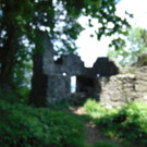 DSC02503.JPG