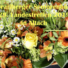 00_ LT Altach.jpg