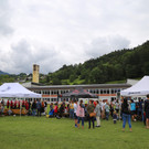 IMG_4241.JPG