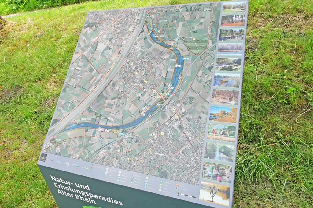 Alter Rhein 5.JPG