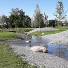 20190612_173218.jpg