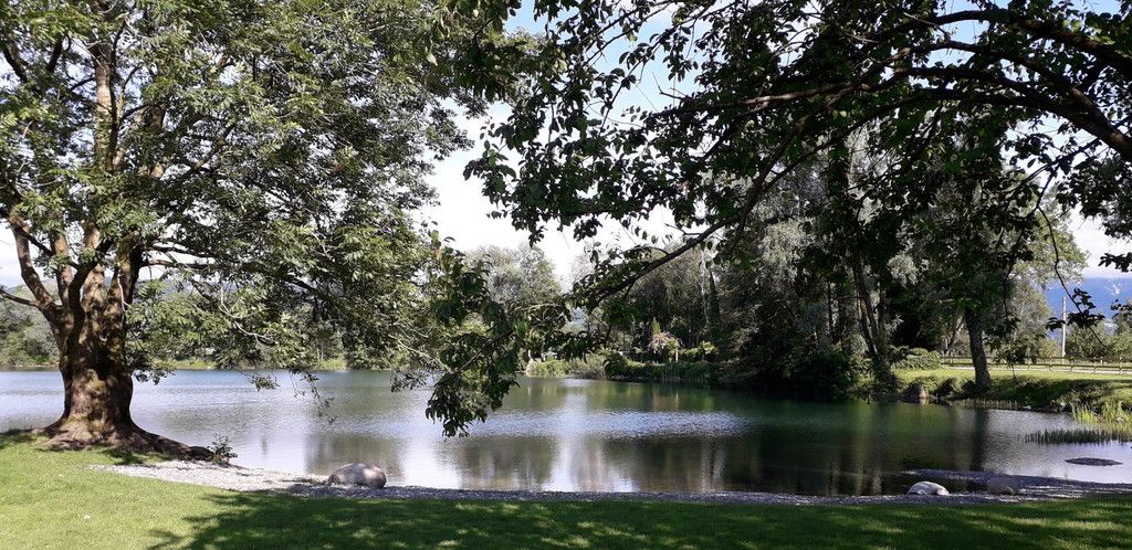 20190612_173736.jpg