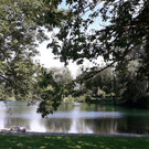 20190612_173736.jpg