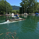 IMG_1574.JPG