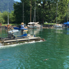 IMG_1576.JPG