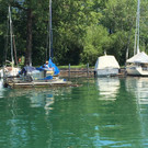 IMG_1579.JPG