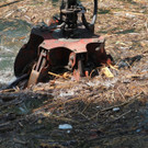 IMG_9666.JPG