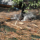 IMG_9671.JPG