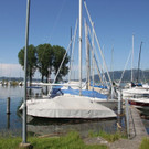 IMG_6707.JPG