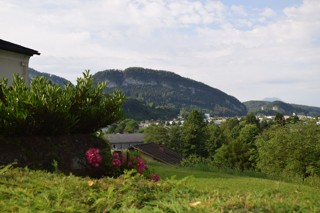 DSC_0003.JPG
