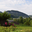 DSC_0003.JPG