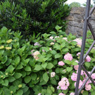 DSC_0023.JPG