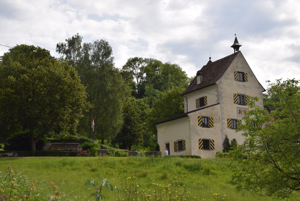 DSC_0039.JPG