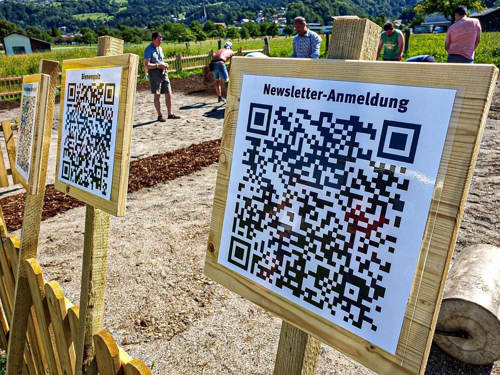 Bienenwiese.jpg