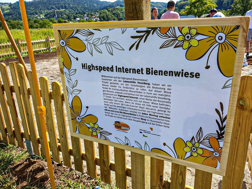 Bienenwiese3.jpg