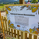 Bienenwiese3.jpg