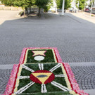 020-IMG_4687.JPG