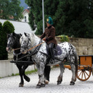 108-IMG_5235.JPG