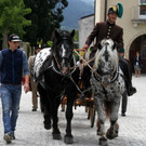 130-IMG_5260.JPG