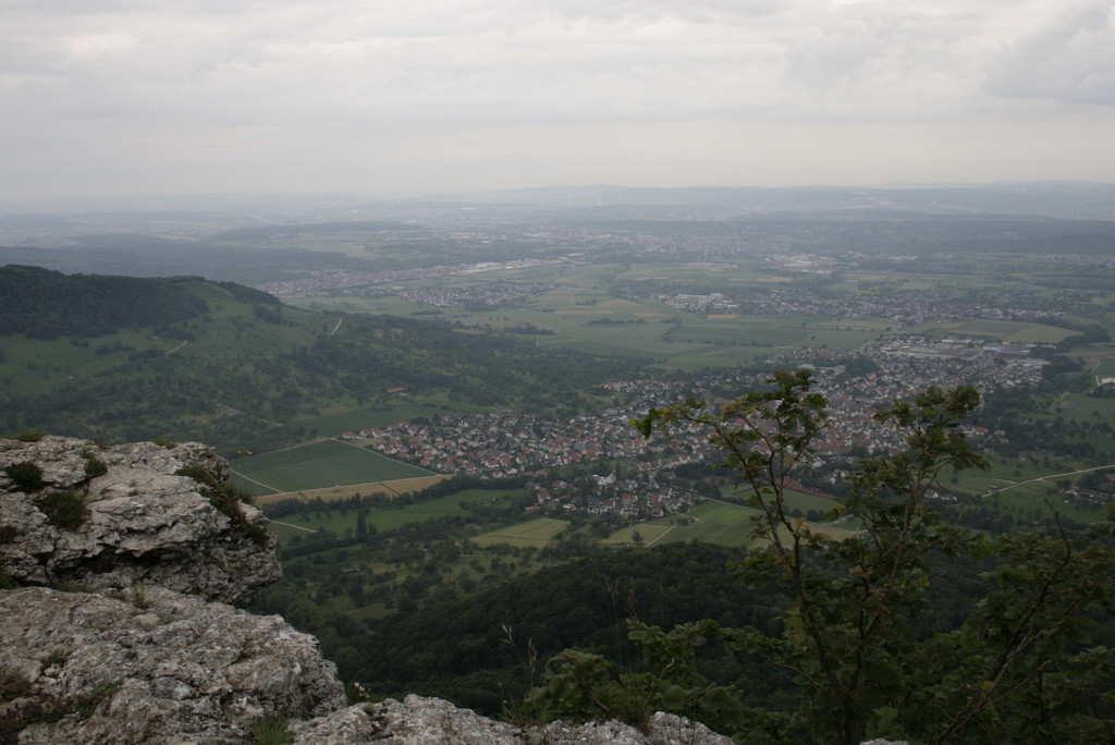_MG_0217.JPG