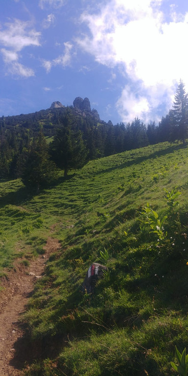 WhatsApp Image 2019-06-22 at 17_13_21.jpg