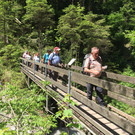 IMG_2455.JPG