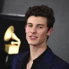 Shawn Mendes 