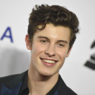 CORRECTION_2019_MusiCares_Person_of_the_Year_-_Arrivals_87378.jpg