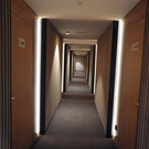DSCI1809.JPG