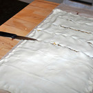 DSC_0411.JPG