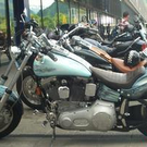 HARLY DAVIDSON Charity-Tour 2001