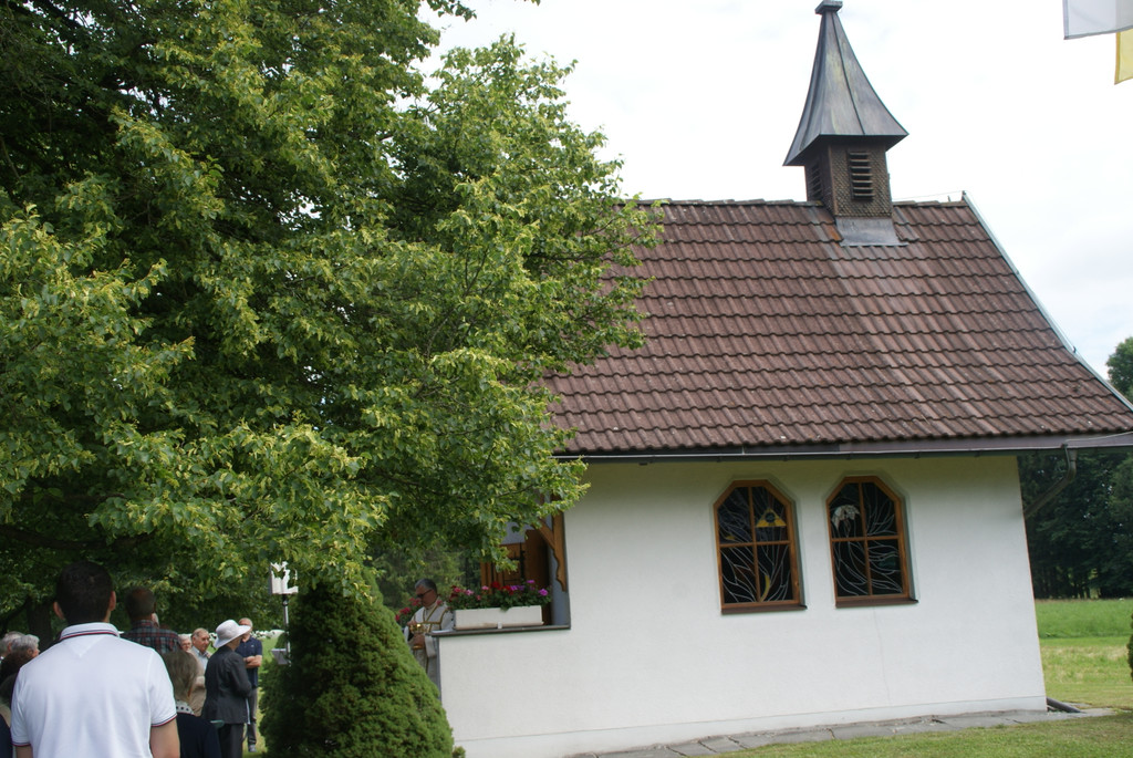 Ein Idyll im Ried.JPG