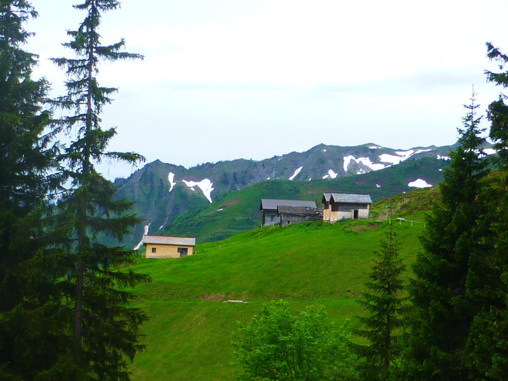 P1100491.JPG