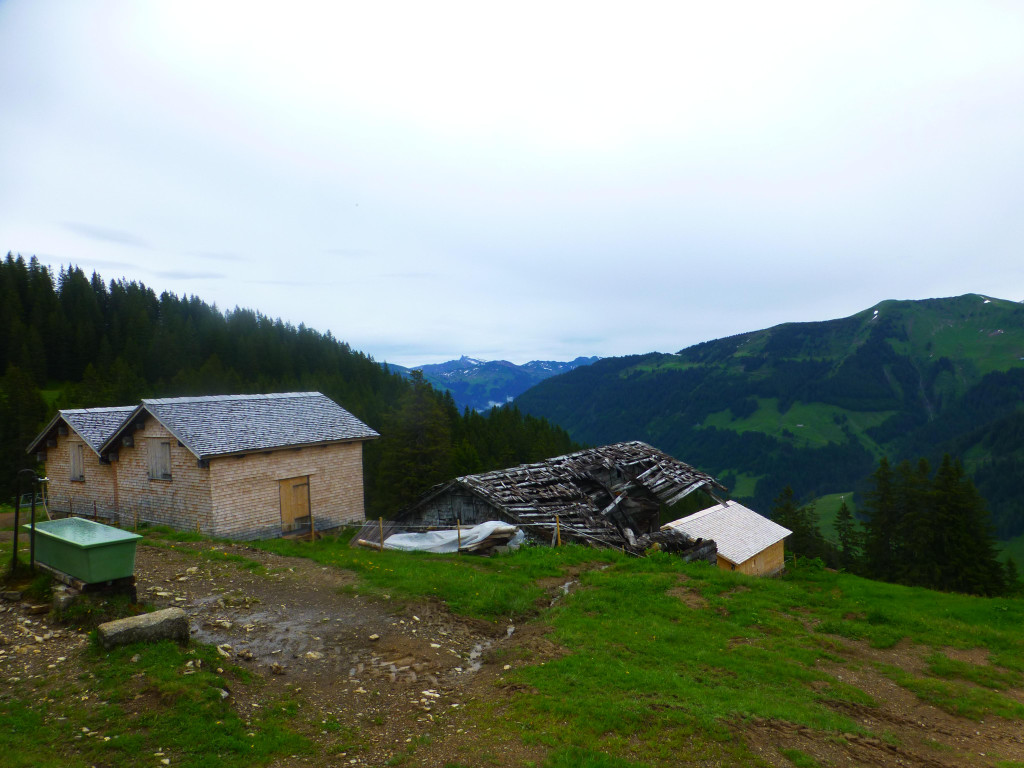 P1100494.JPG