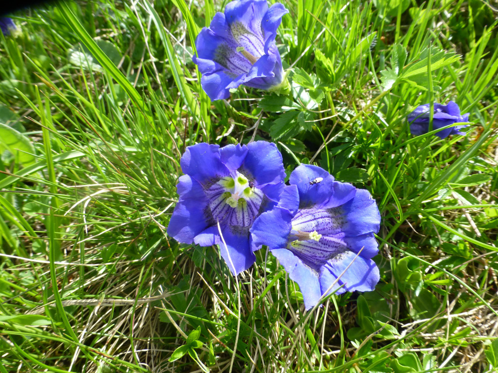 P1100505.JPG