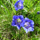 P1100505.JPG