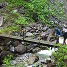 P1100476.JPG