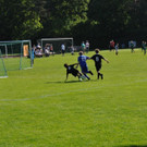 DSC_4132.JPG